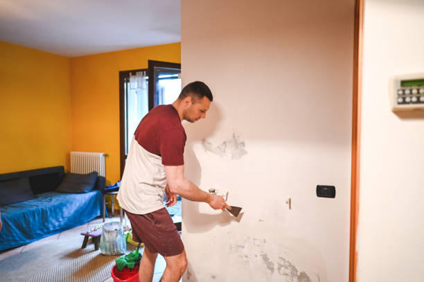Best Fast Mold Removal  in Mora, MN
